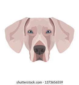 Illustration Weimaraner | For all dog owners. What you love about his dog? Puppy dog ​​eyes, wagging tail, smiling, barking. The Weimaraner is a man's best friend.
