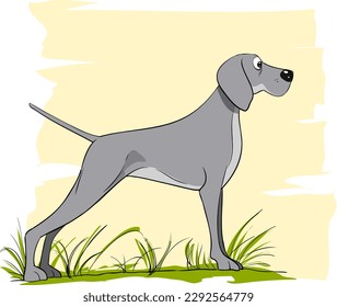 Ilustración de la visión lateral de la raza de perro de weimaraner y dibujos animados o estilo humorístico en la exposición de perros o perros de caza