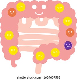 Illustration of a well-balanced intestinal flora