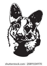 illustration welsh corgi cardigan head in black and white