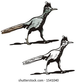 Illustration of a western bird.
