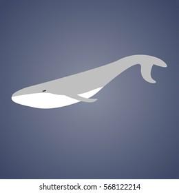illustration of a whale.
