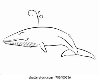 illustration of a whale, black and white drawing, white background