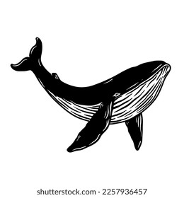 Illustration of whale. Design element for poster, card, banner, emblem, sign. Vector illustration