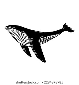 Illustration of whale. Design element for poster, card, banner, emblem, sign. Vector illustration