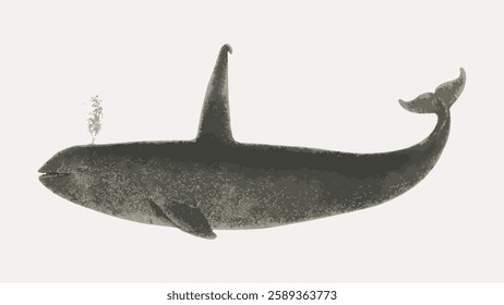 Illustration of a whale with a dorsal fin resembling a shark. Whale with shark fin, unique whale design, whale and shark combination, creative marine art. Vintage marine life vector.