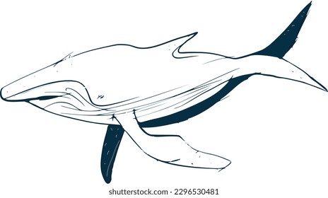 Ilustración de una ballena con fondo blanco 