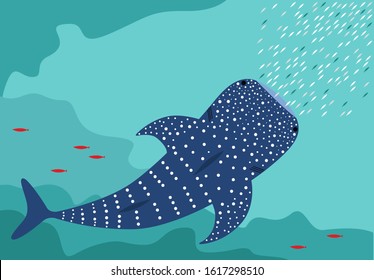 Illustration of the hunting Whale shark