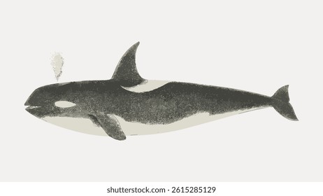 Illustration of a whale with a textured, vintage style. The whale, depicted in grayscale, features a spout of water. Whale art with a classic, textured look. Vintage fish illustration, animal vector.