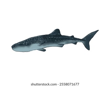 Illustration of an WhaleShark Watercolor Illustration