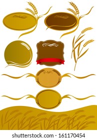 The illustration of wheat