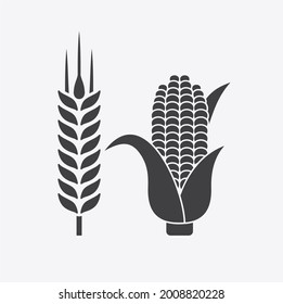 illustration of wheat and corn, vector art.