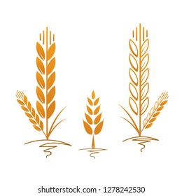 Illustration of wheat ears. Icons or logo design for bakery or bread and pastry products. Harvest wheat grains of simple wheat ears 