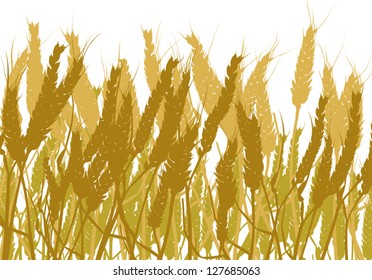 73,520 Wheat field isolated Images, Stock Photos & Vectors | Shutterstock