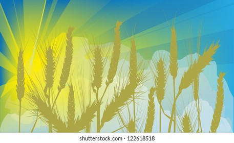 illustration with wheat field at sunset