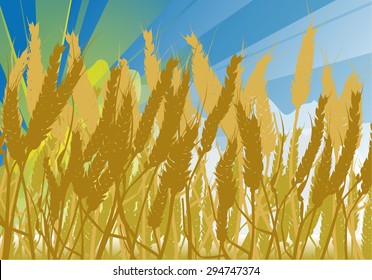 illustration with wheat field under blue sky