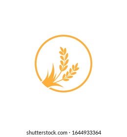 Illustration of Wheat in gold color. Harvest wheat grain icon, rye grained agriculture products ear symbol. laurel  