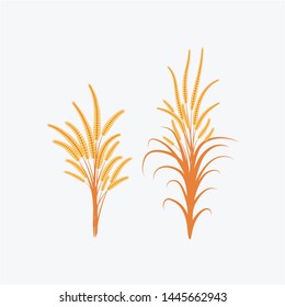 
illustration of wheat plants and vector symbols