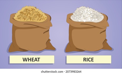 Illustration of Wheat and Rice brown stack vector