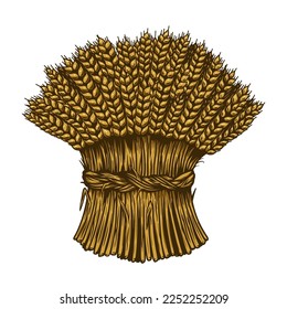 Illustration of wheat sheaf in engraving style. Design element for card, banner, menu. Vector illustration