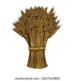 Illustration of wheat sheaf in engraving style. Design element for card, banner, menu. Vector illustration