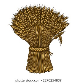 Illustration of wheat sheaf in engraving style. Design element for card, banner, menu. Vector illustration