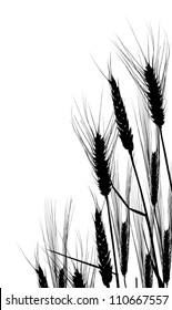 illustration with wheat silhouettes isolated on white background