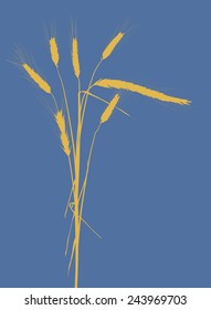 illustration with wheat silhouettes isolated on blue background