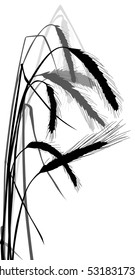 illustration with wheat silhouettes isolated on white background
