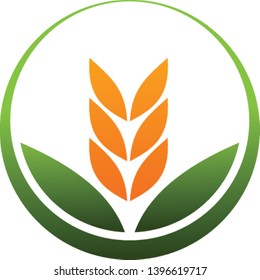 An illustration of a wheat spike in a circle