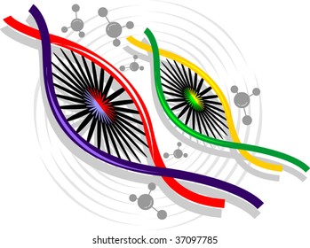 Illustration of wheel model of DNA	