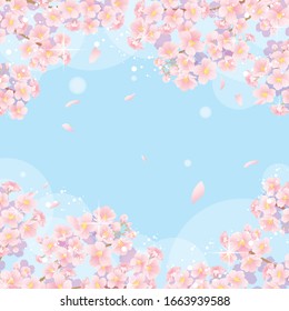 Illustration where cherry blossoms bloom against the blue sky