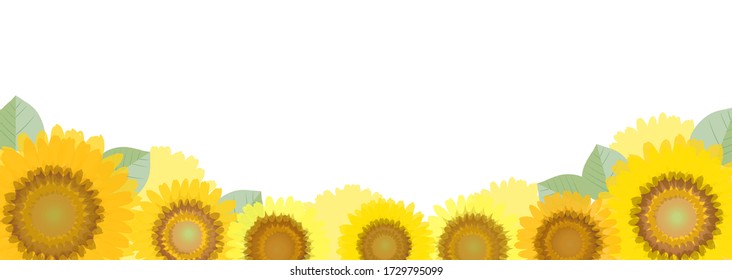 Ilustración de un fondo blanco rodeado de girasoles