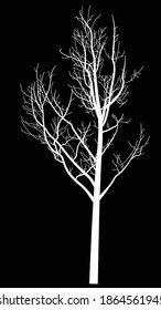 illustration with white bare large tree silhouette isolated on black background