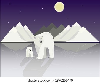 Illustration of white bear , vector , winter cover, poster, night, postcard, collage