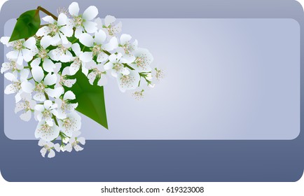 ilustración con flores de árbol de cerezo de aves blancas