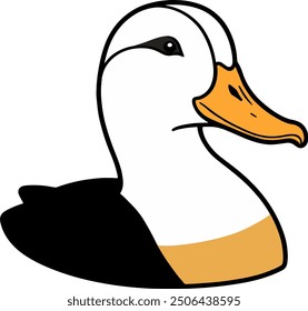 Illustration of a white and black duck