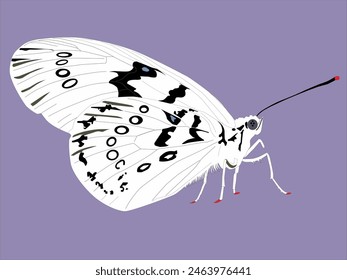 illustration of a white butterfly with a blue background