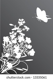 illustration with white butterfly and different flowers decoration
