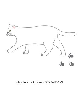 Illustration of a white cat.