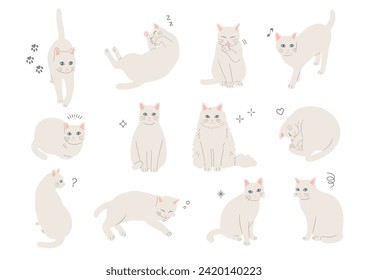 Ilustración de un gato blanco con diferentes poses