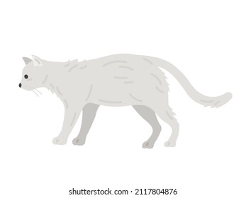 Illustration of a white cat seen from the side.