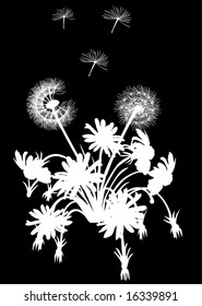 illustration with white dandelions on black background