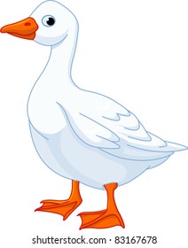 Illustration of white domestic goose isolated on white background