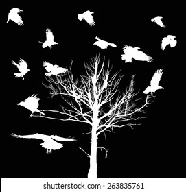 illustration with white dry large tree and crows silhouettes isolated on black background