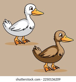The Illustration of White and Duck