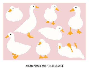 An illustration of white ducks in different positions, and pink background. This can be used as a poster, card or even stickers!