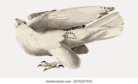 Illustration of a white falcon with detailed feathers. Falcon wings spread, showcasing intricate feather patterns. Falcon perched, talons visible, white plumage. Vintage animal illustration, vector.