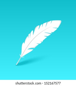 Illustration white feather isolated on blue background - vector