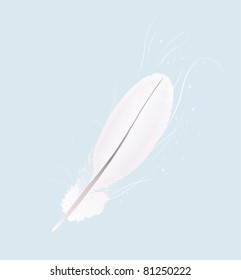 ilustración con pluma blanca sobre fondo azul claro
